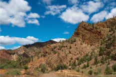 small Brachina-Gorge-Adam-Brazonne