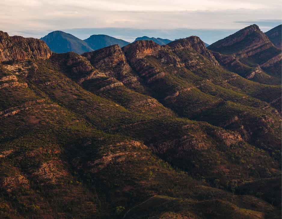 Scenic views of the Flinders Ranges